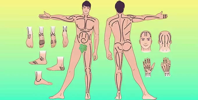 Направления массажа тела человека