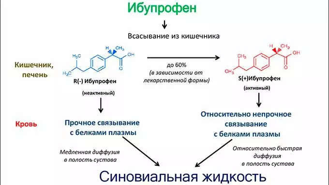 Схема действия Ибупрофена